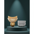 Wilde & Pure SculptSilk lymphatic facial contour brush and case